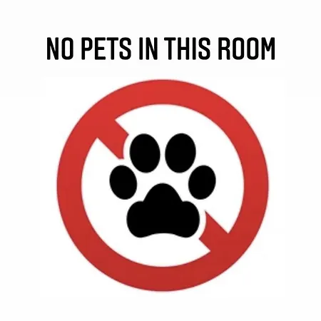 Han/Misafirhane Classico